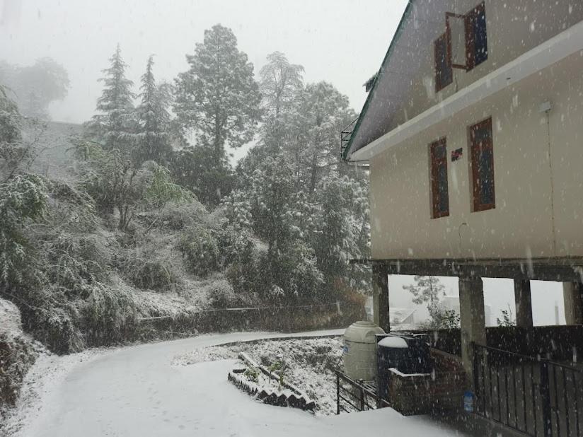 Apartamento Aagaman Woods Shimla Exterior foto